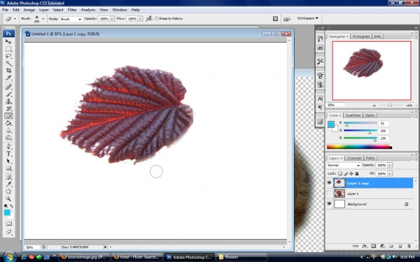 Creation of Pretty Fishy: Step 4
